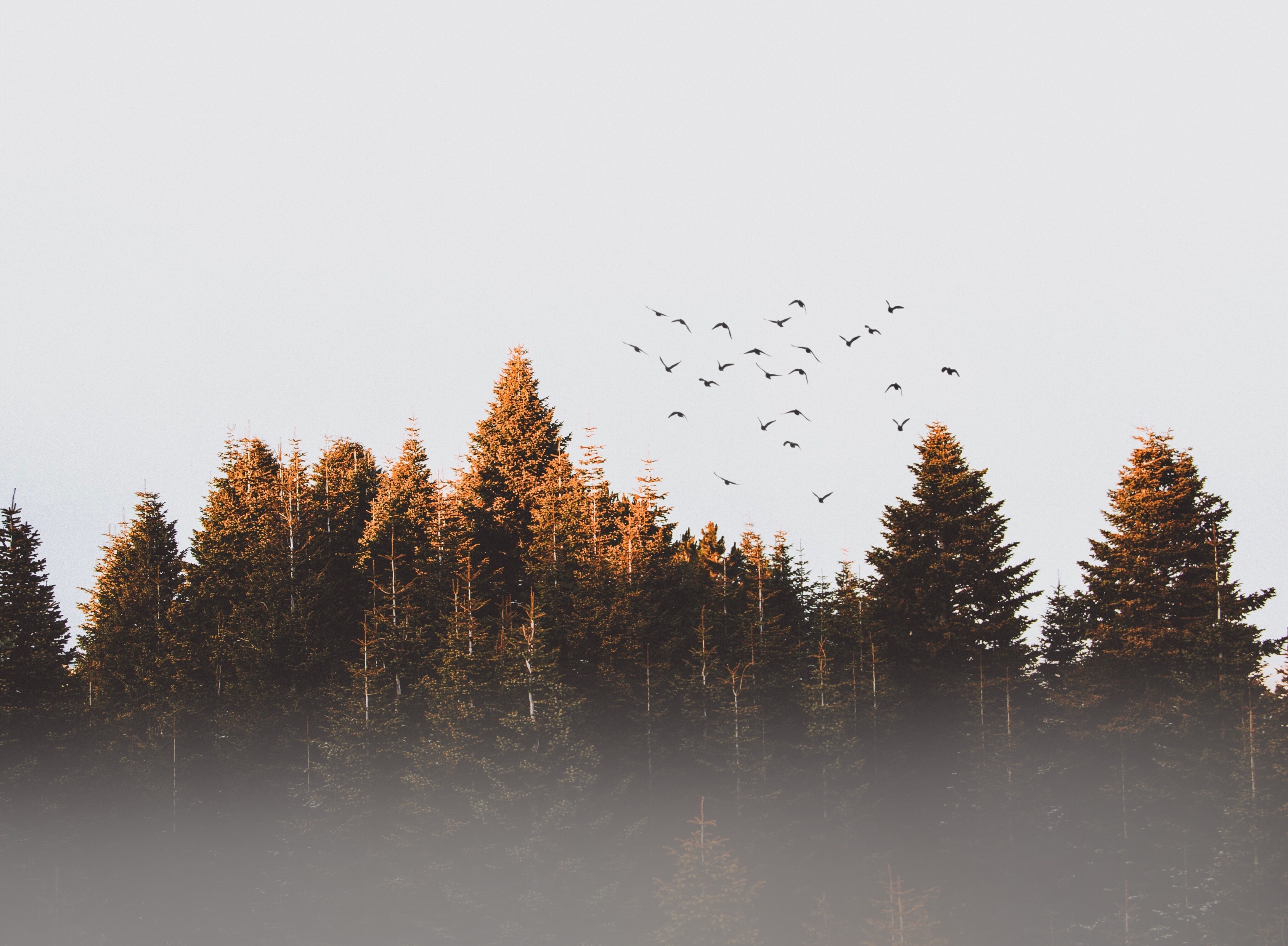 paisagem